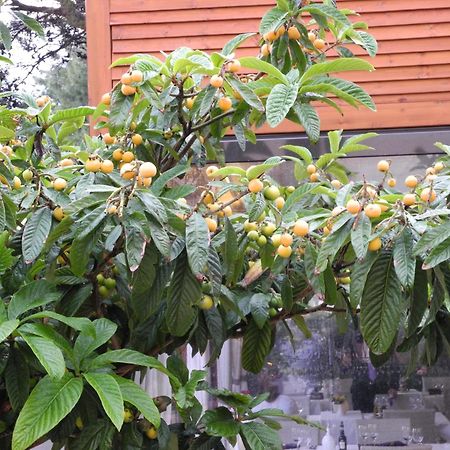 Apartment Dora 察夫塔特 外观 照片
